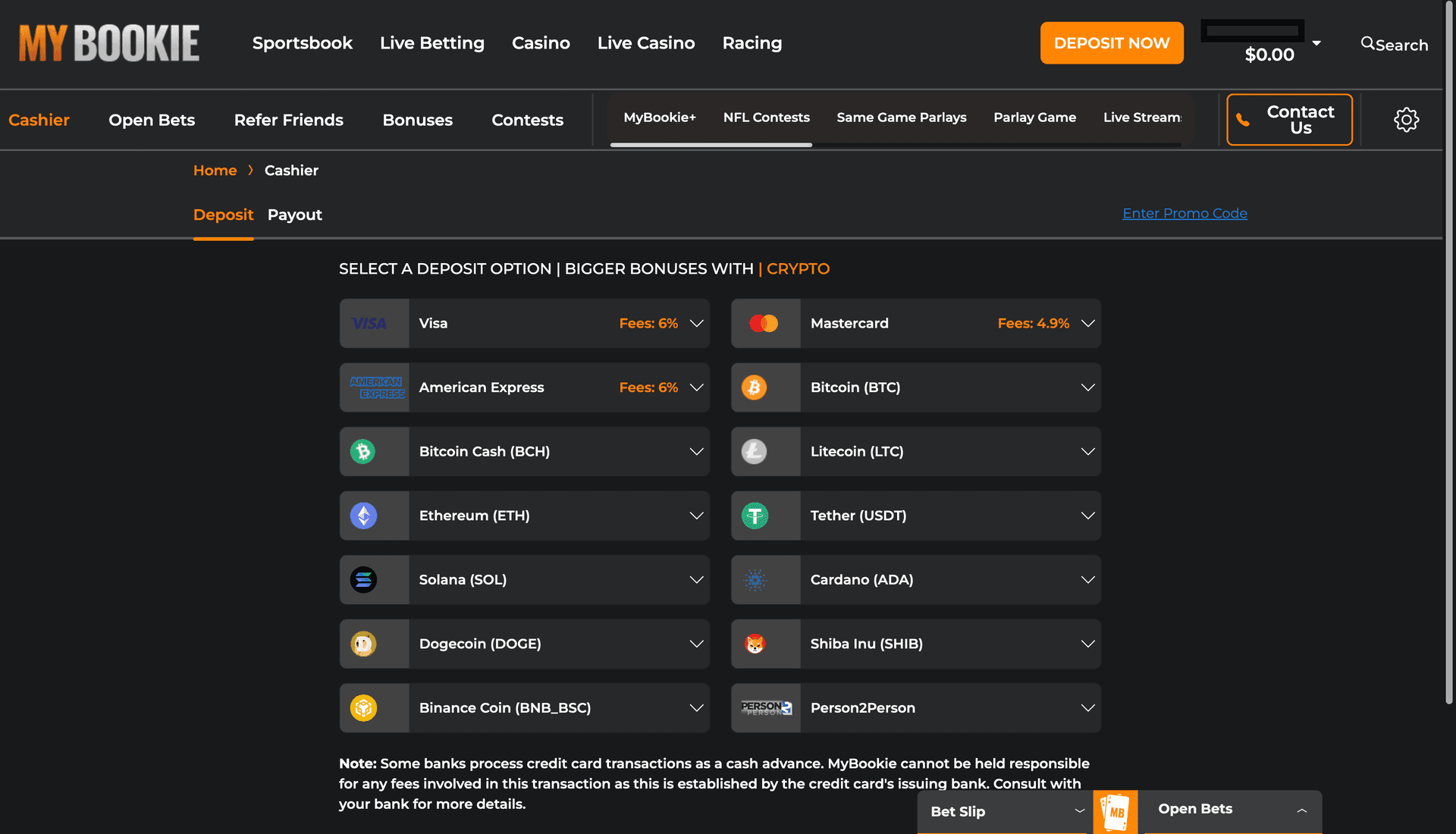 MyBookie deposit page showing payment methods and options